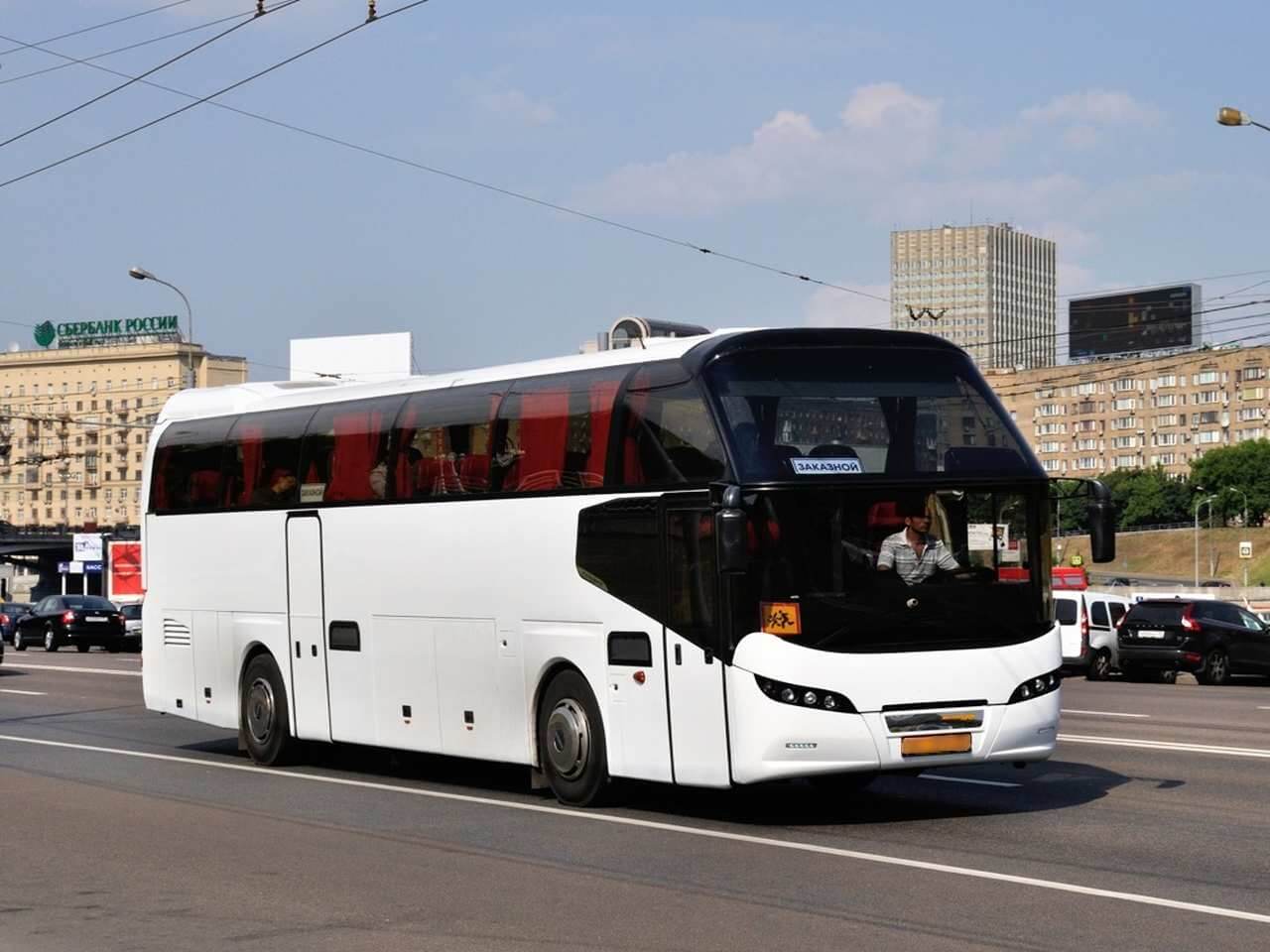 R08 Lion's Coach