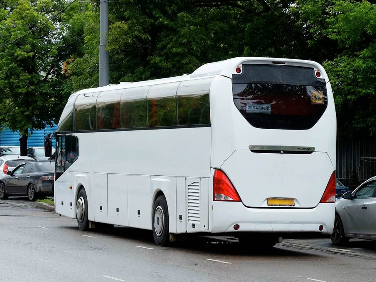R08 Lion's Coach